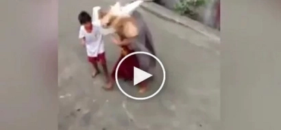 Video of kids performing the ‘Dragon dance’ from Binondo went viral
