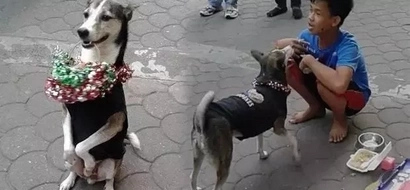 Amazing dog near LRT station sends boy to school by performing tricks