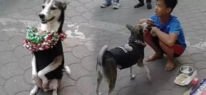Amazing dog near LRT station sends boy to school by performing tricks