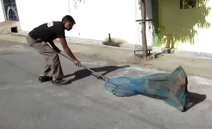 They had to use a net They had to use a net