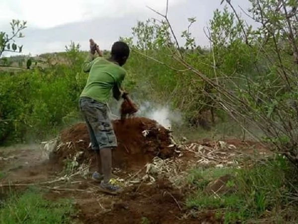 10-year-old boy forced to burn charcoal to save his family of 6 after dad disappeared 10-year-old boy forced to burn charcoal to save his family of 6 after dad disappeared