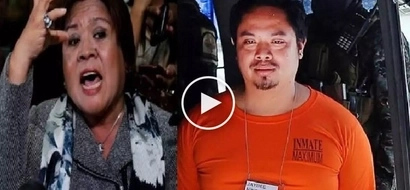 Pinilit daw: Worried De Lima accuses fierce enemies of forcing Sebastian to testify against her
