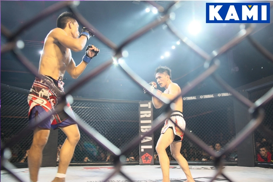 PHOTOS: What went on during URCC Fight Night PHOTOS: What went on during URCC Fight Night
