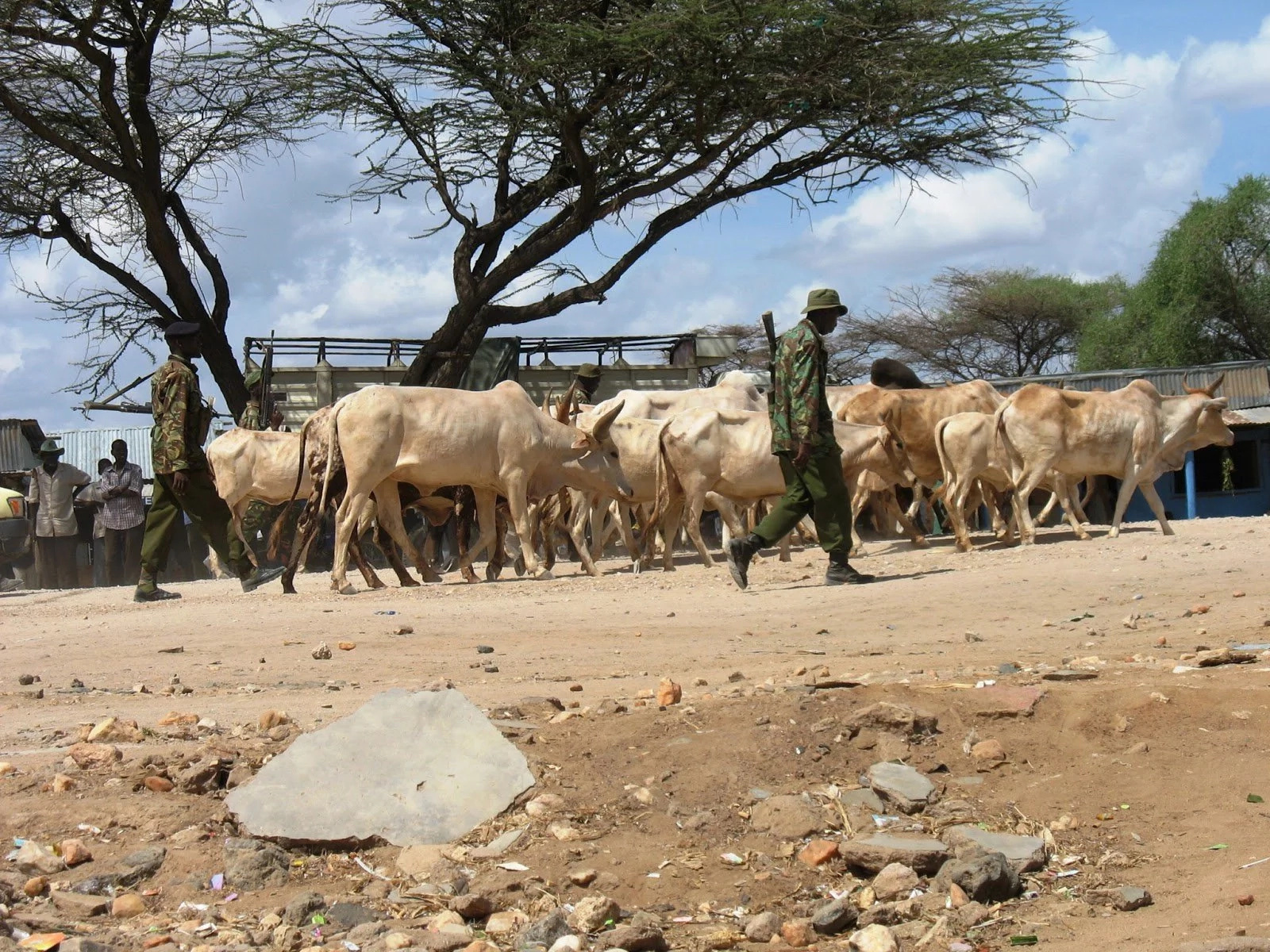 The Garissa school boy