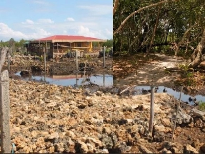 Palawan wildlife 'killed' to build foundations for 5-hectare subdivision