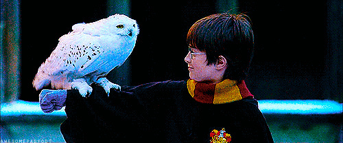 If Harry Potter characters were Filipinos