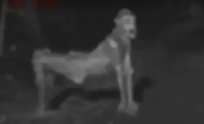 Mysterious Creatures Caught On TAPE — And Everyone Loses Their Sh*t Mysterious Creatures Caught On TAPE — And Everyone Loses Their Sh*t