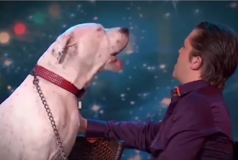 Dog sings Whitney Houston hit in viral video Dog sings Whitney Houston hit in viral video