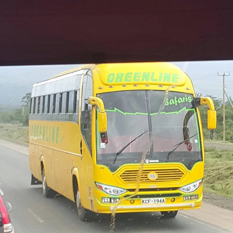 Boys hitch 10 hour ride on a Greenline Safaris bus' chassis