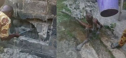Residents were terrified by creepy sounds from a wall. When they crushed the wall, they were unprepared for what they saw