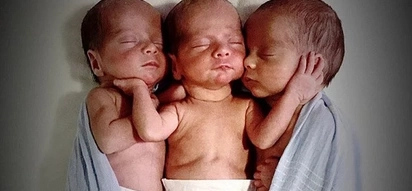 Miracle triplets were born genetically identical. It’s a 200 million-to-one chance!