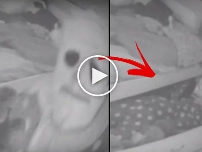 What's under the bed of the sleeping girl will scare you! Watch the video of the scary clown