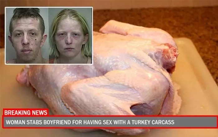 Girl stabs her boyfriend for animal necrophilia! Girl stabs her boyfriend for animal necrophilia!