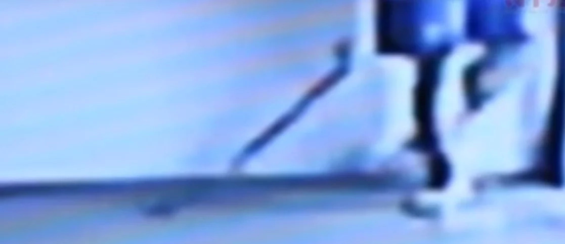 Scary snake attack footage of an extremely agressive snake! Scary snake attack footage of an extremely agressive snake!