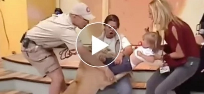 VIDEO: Lion almost KILLS baby on this TV show