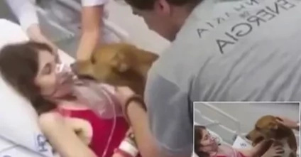 Termianlly ill mother is reunited with her dog for the last time Termianlly ill mother is reunited with her dog for the last time