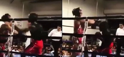 An Amateur Boxer’s Badass Knockout Punch Goes Viral