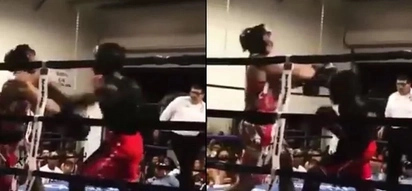 An Amateur Boxer’s Badass Knockout Punch Goes Viral