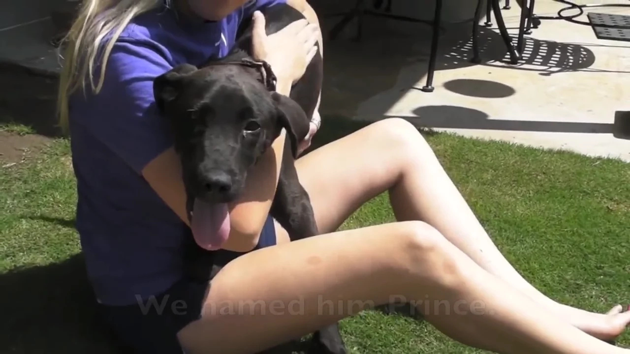 A Dog Tale That Will Tug Your Heartstrings: VIRAL VIDEO of a Pup's Inspiring Transformation A Dog Tale That Will Tug Your Heartstrings: VIRAL VIDEO of a Pup's Inspiring Transformation