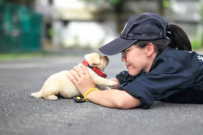 These police pups are too cute to handle! These police pups are too cute to handle!