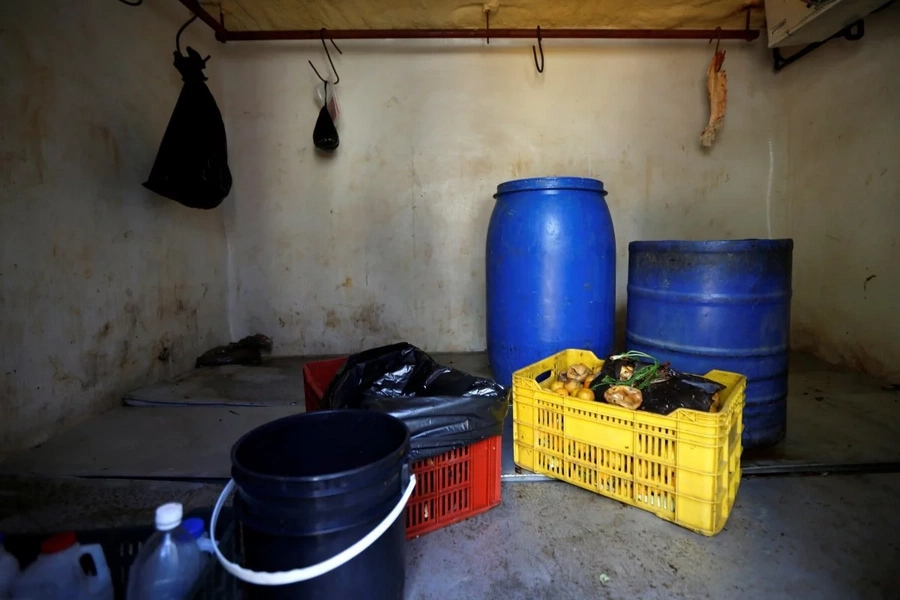 50 animals 'starve to death' at Venezuelan zoo 50 animals 'starve to death' at Venezuelan zoo