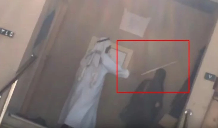 School guard uses cane and a SNAKE to group veiled female pupils (photos, video) School guard uses cane and a SNAKE to group veiled female pupils (photos, video)
