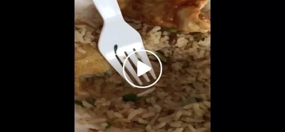 Netizen finds a disturbing creature in fast food chain's rice meal