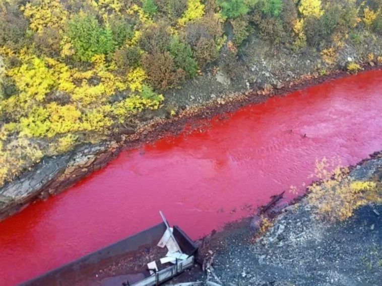 This river turned blood red over night. Locals suspect that the end of the world is near! This river turned blood red over night. Locals suspect that the end of the world is near!