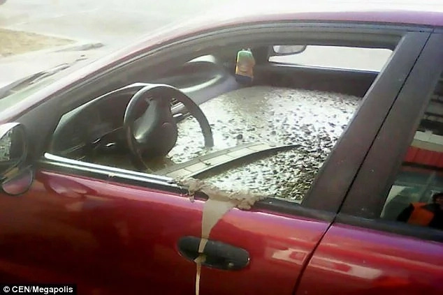 Angry husband fills wife's car with CEMENT after she changed her surname to promote her store (photos, video) Angry husband fills wife's car with CEMENT after she changed her surname to promote her store (photos, video)