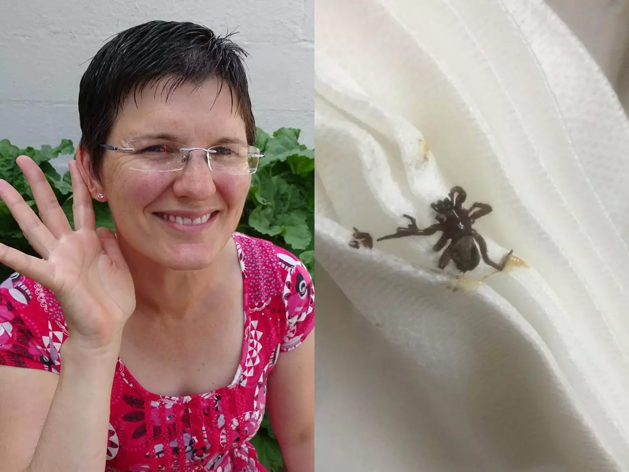 Woman finds live spider in her ear after swimming incident Woman finds live spider in her ear after swimming incident