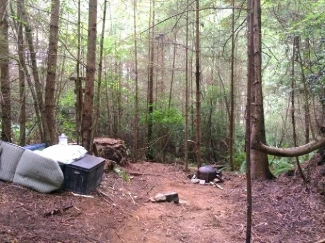 A squatter builds a remarkable shelter in a forest but evades all human contact A squatter builds a remarkable shelter in a forest but evades all human contact