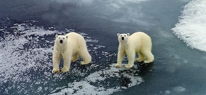 Russian scientists have been taken hostage by polar bears