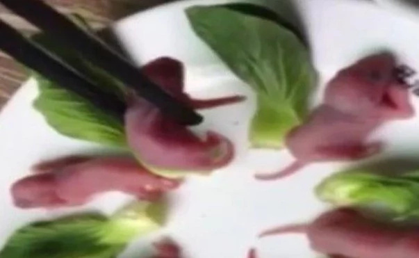 Disgusting Chinese dish consisting of living new born mice shocks internet Disgusting Chinese dish consisting of living new born mice shocks internet