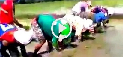 This video of farmers' synchronized planting will make you a proud Pinoy!