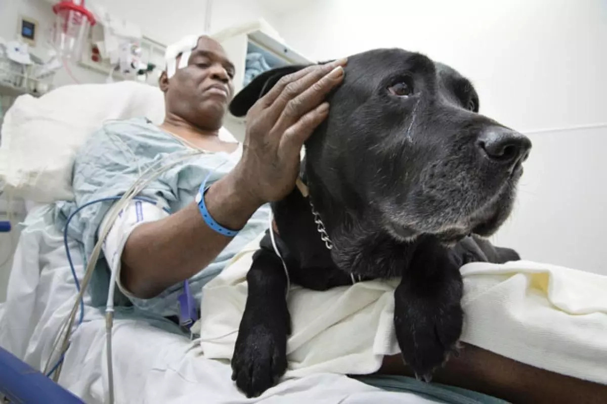 L'uomo controlla il treno. Poi nota il cane su rotaie e urla per non essere in grado di fermare il treno