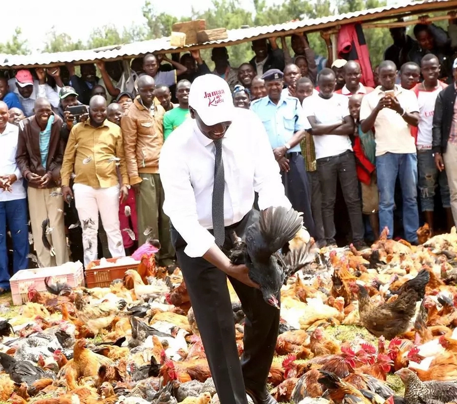 What Kenyans had say about DP Ruto's chicken stunt