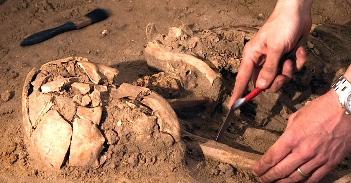 skeleton skeleton