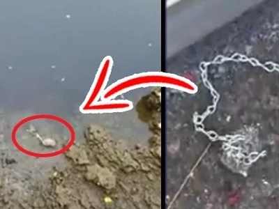 Teenagers found two bodies chained together on a river. The bodies were thriving to stay afloat as they attempt to free them!