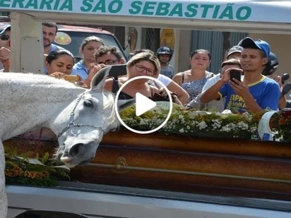Heart-wrenching video shows emotional horse breaks down upon seeing its dead owner's coffin