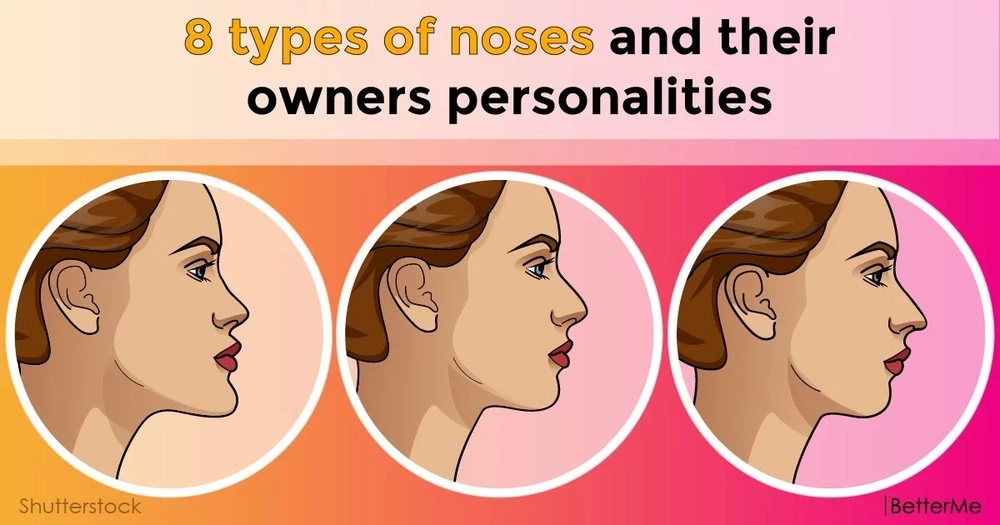 nose shapes