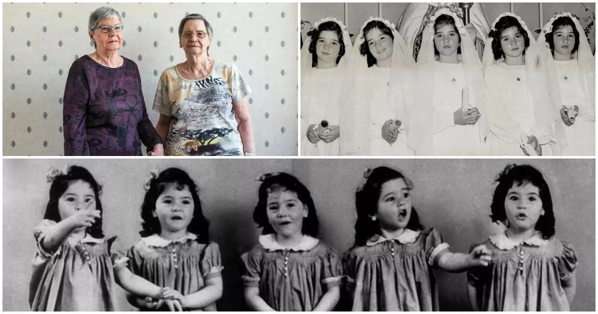 Sad! Identical quintuplets taken away from home at 4-months-old put on display in circus (photos, video)