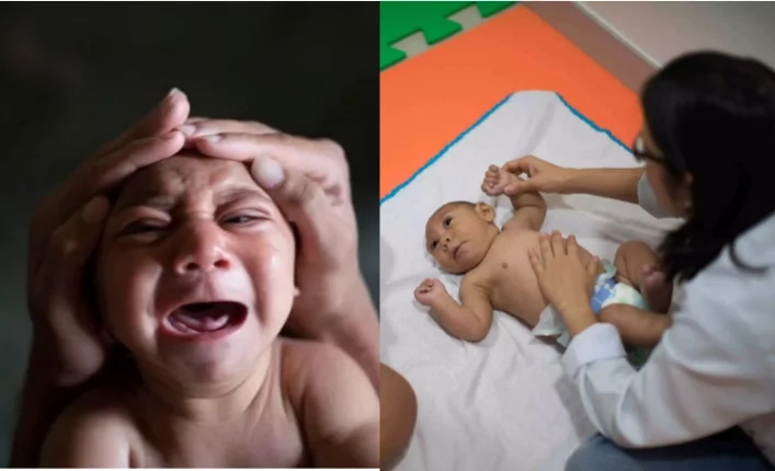 zika-virus-ph zika-virus-ph