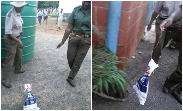 Drama and chaos as teacher receives SNAKE gift parcel from haters (see photos)