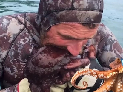 Crazy Guy Kills An Octopus By Biting It Between The Eyes