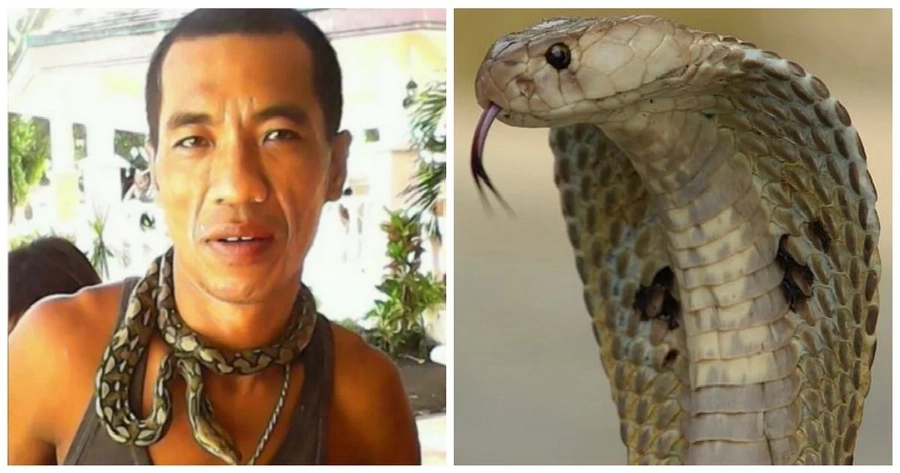 'Cobra King' from Sorsogon ironically dies from the bite of his own pet snake 'Cobra King' from Sorsogon ironically dies from the bite of his own pet snake