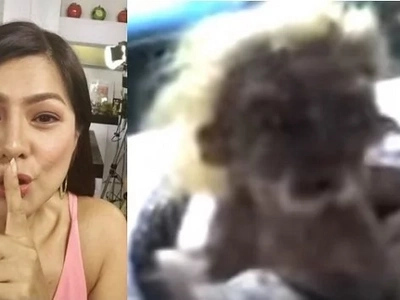 Alice Dixson finally speaks up on the snake man in Robinson's Galleria