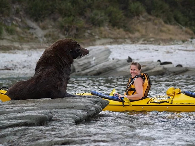What these tourists witnessed is not what you'll commonly see in the ocean! What these tourists witnessed is not what you'll commonly see in the ocean!