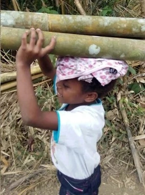 Child endures carrying bamboos to feed her family Child endures carrying bamboos to feed her family