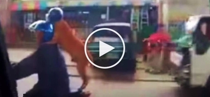 Epic video of Pinoy riding motorcycle with well-behaved pet dog shocks netizens