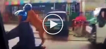 Epic video of Pinoy riding motorcycle with well-behaved pet dog shocks netizens